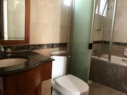 Parc Vista (D22), Condominium #479858841